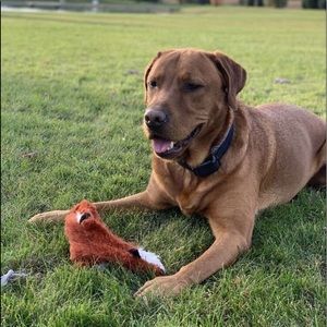 Meet your Posher, Deb